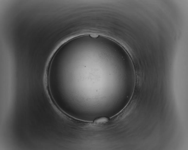 X0000100931531200806241354