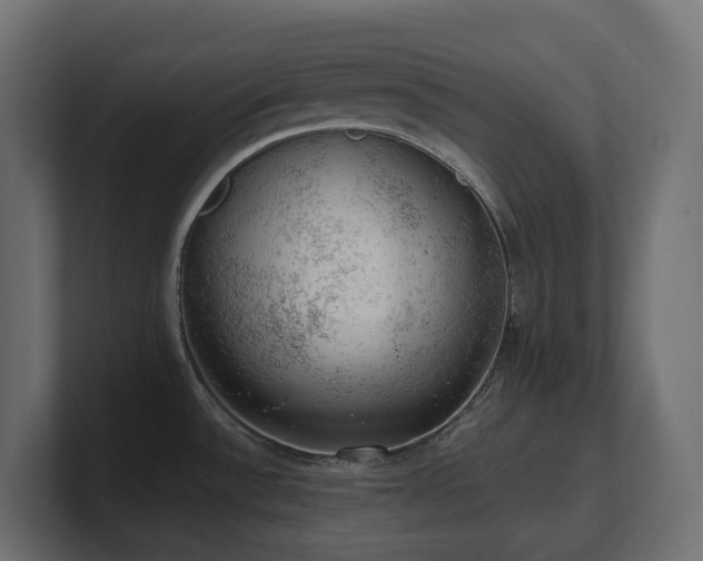 X0000100931532200806241354