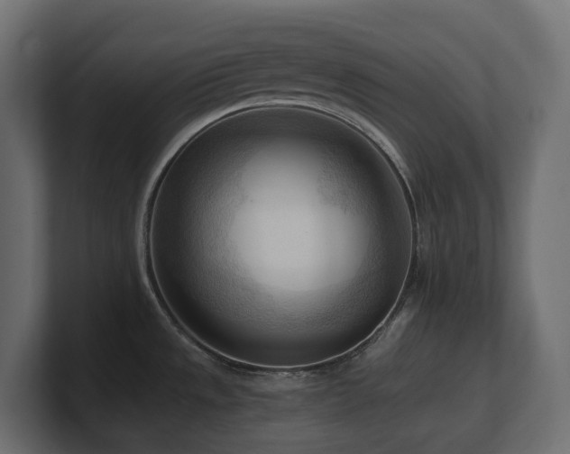 X0000100931533200806241354