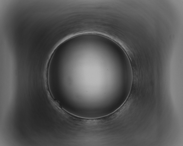 X0000100931534200806241354