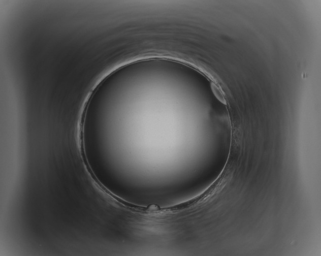 X0000100931535200806241354