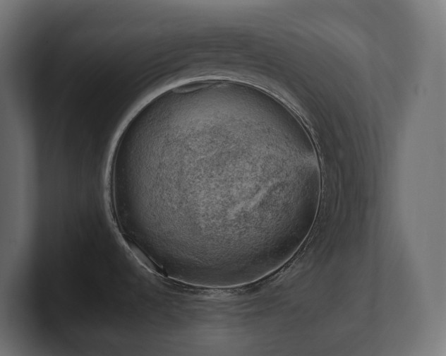 X0000100931536200806241354