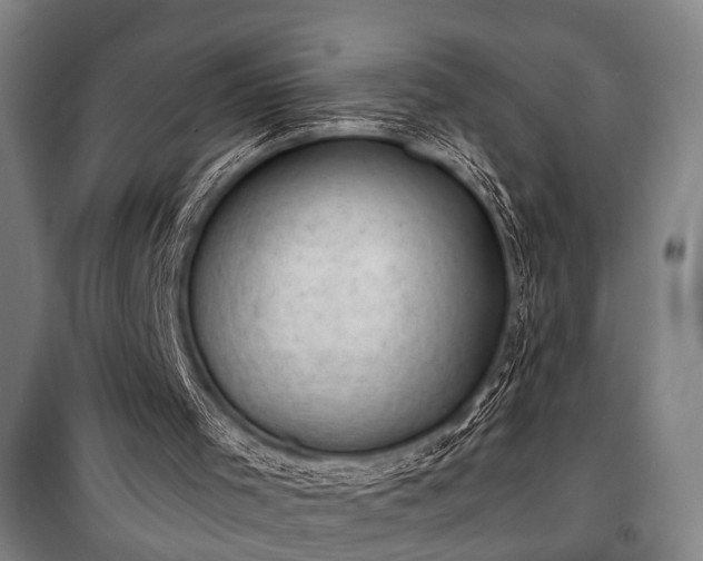 X0000100930001200807011232