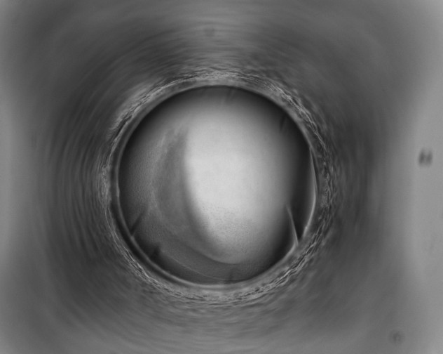 X0000100930002200807011232