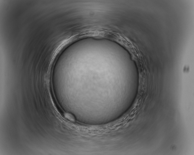 X0000100930003200807011232