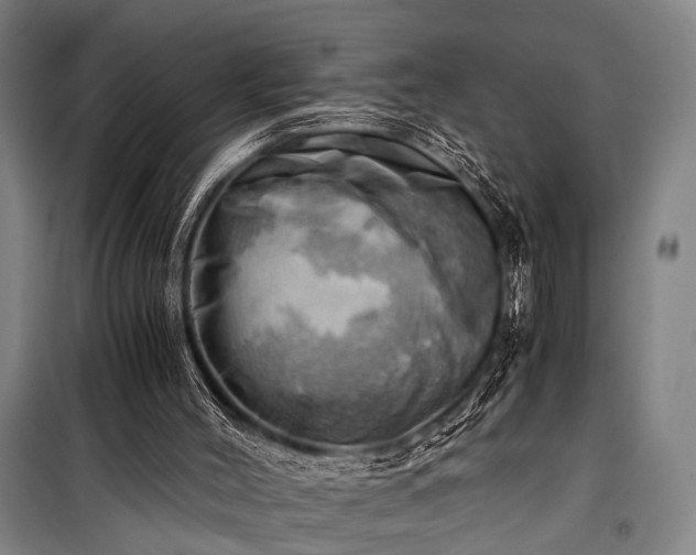 X0000100930004200807011232