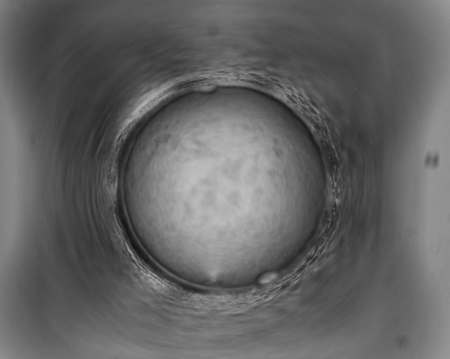 X0000100930005200807011232