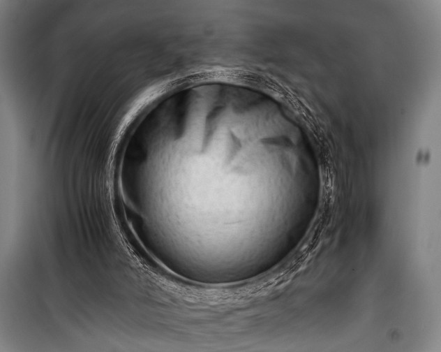 X0000100930006200807011232