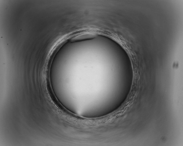 X0000100930007200807011232