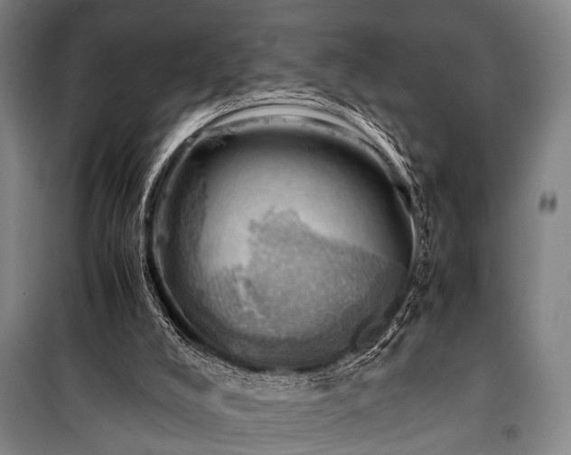 X0000100930008200807011232