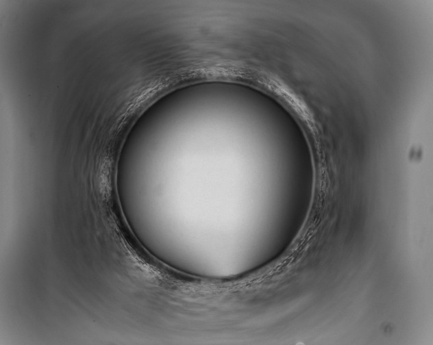 X0000100930009200807011232