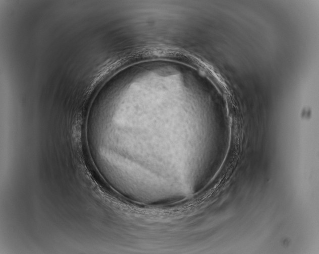 X0000100930010200807011232