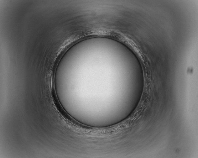 X0000100930011200807011232