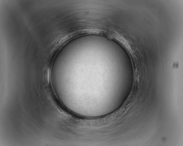 X0000100930013200807011232