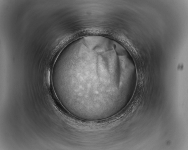 X0000100930014200807011232