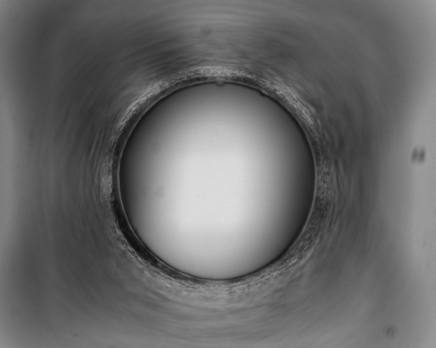 X0000100930015200807011232