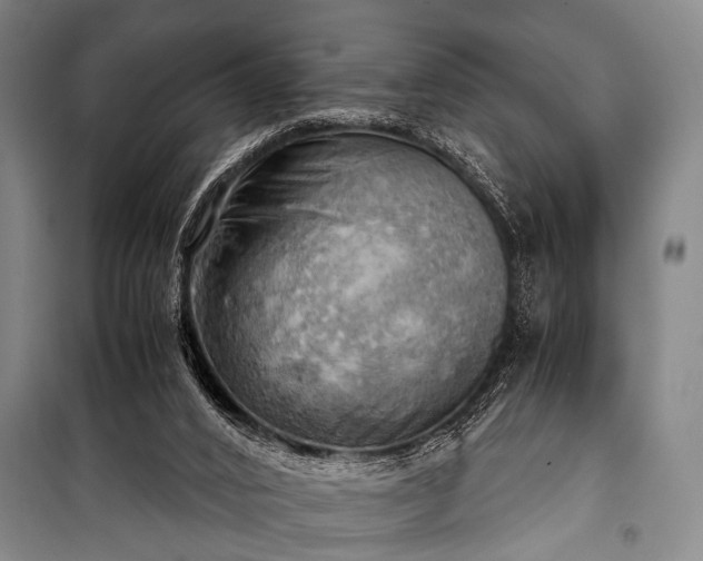 X0000100930016200807011232