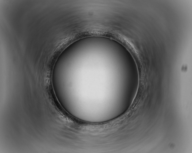 X0000100930017200807011232