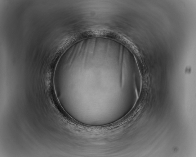 X0000100930018200807011232