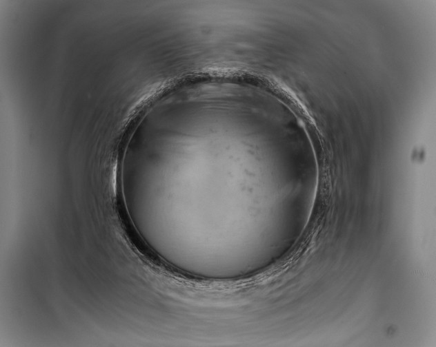 X0000100930019200807011232