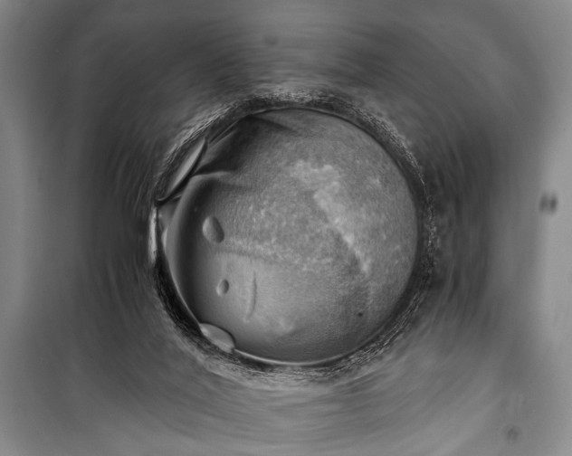 X0000100930020200807011232