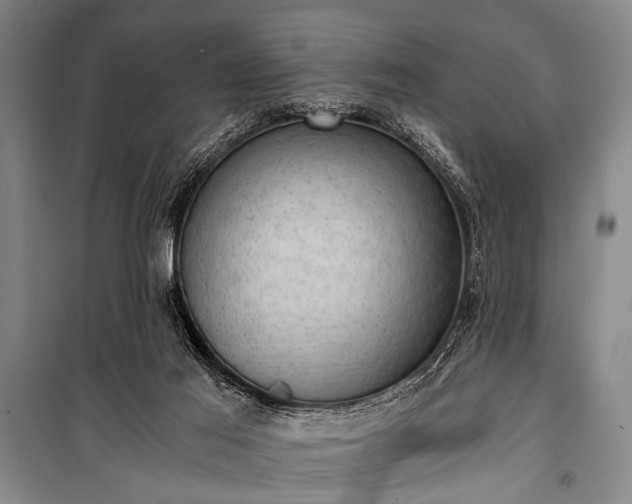 X0000100930021200807011232