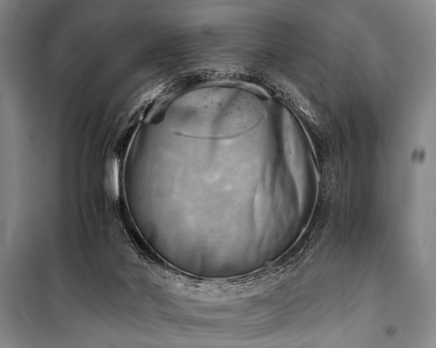 X0000100930022200807011232