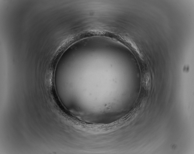 X0000100930023200807011232