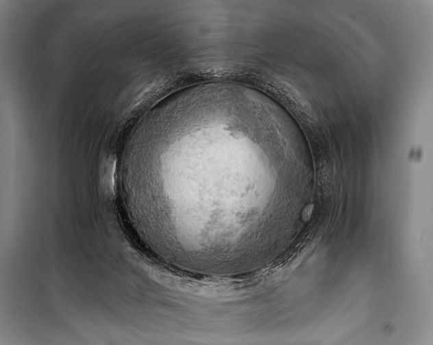 X0000100930024200807011232