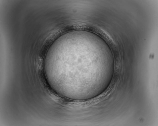 X0000100930025200807011232