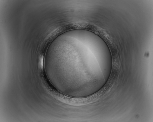 X0000100930027200807011232