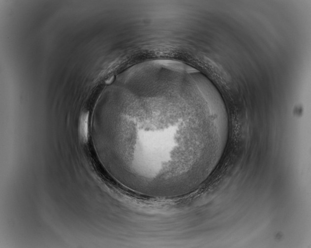 X0000100930028200807011232