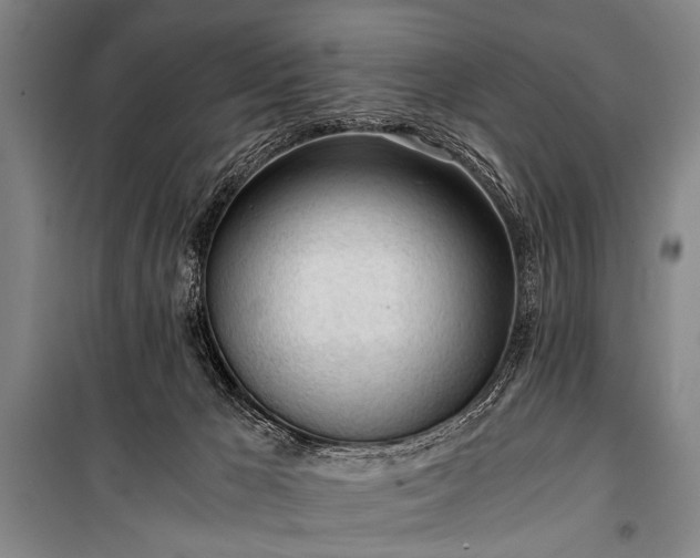 X0000100930029200807011232