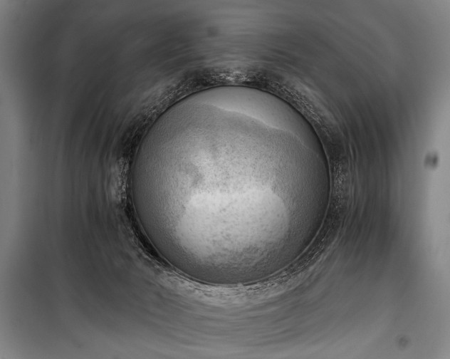 X0000100930030200807011232