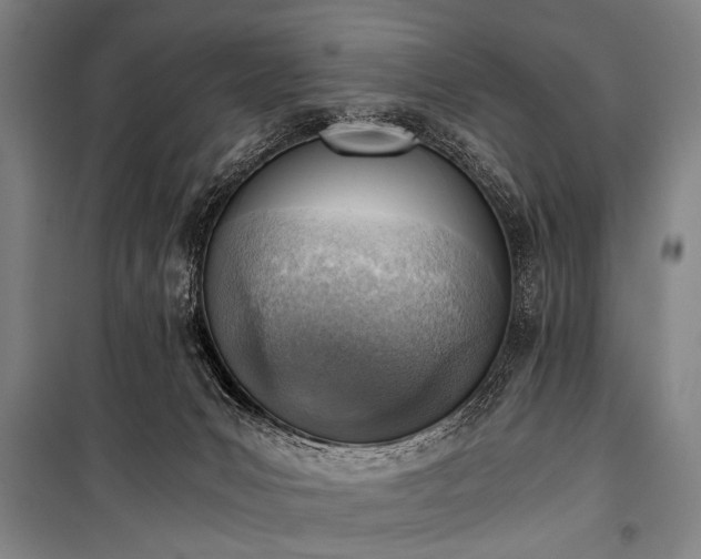 X0000100930031200807011232