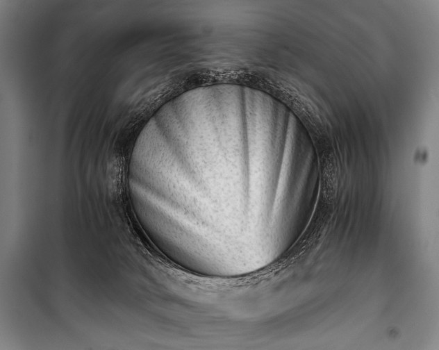 X0000100930034200807011231