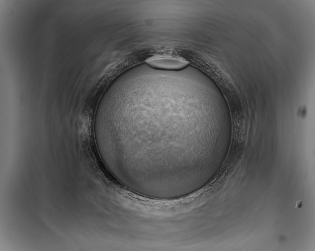 X0000100930035200807011231