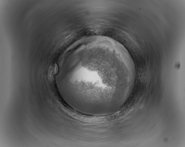 X0000100930036200807011231