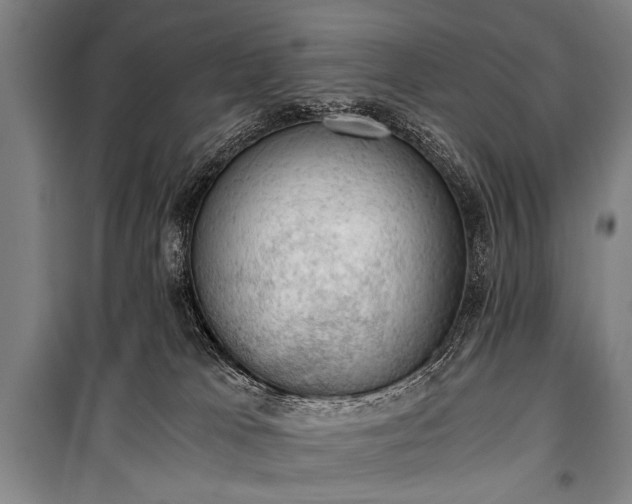 X0000100930037200807011231