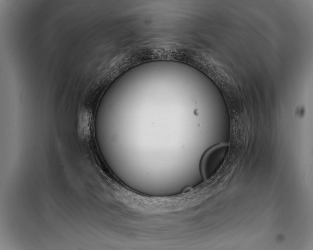 X0000100930038200807011231