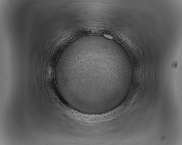 X0000100930039200807011231