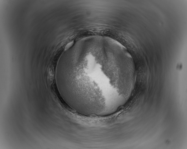 X0000100930040200807011231