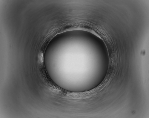 X0000100930041200807011231