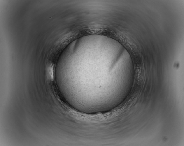 X0000100930042200807011231