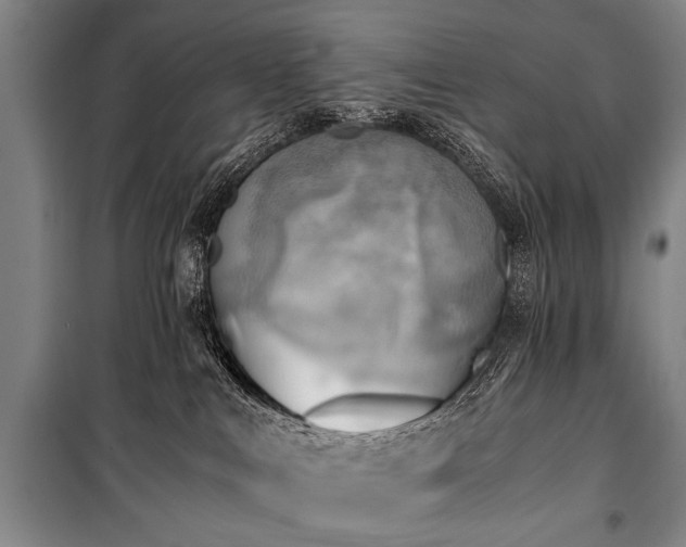 X0000100930043200807011231