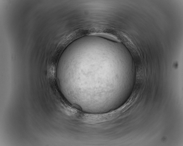 X0000100930045200807011231