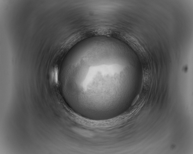 X0000100930046200807011231