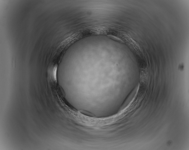 X0000100930047200807011231