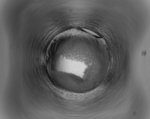 X0000100930048200807011231