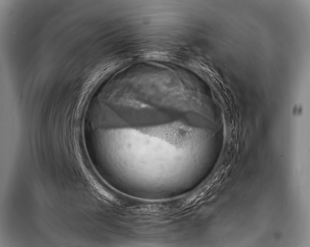 X0000100930049200807011231